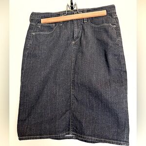 Adriano Goldschmied Chelsea Denim Skirt AG